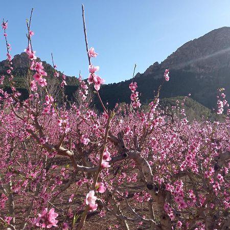 Apartamento Tranquilo Cerca De Zonas Verdes Cieza Buitenkant foto