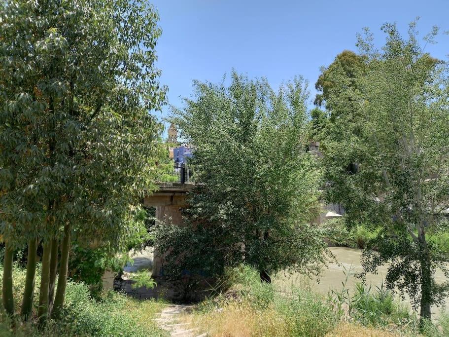 Apartamento Tranquilo Cerca De Zonas Verdes Cieza Buitenkant foto