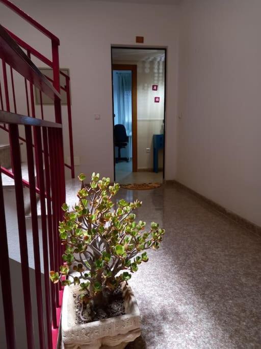 Apartamento Tranquilo Cerca De Zonas Verdes Cieza Buitenkant foto