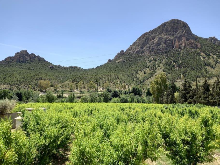 Apartamento Tranquilo Cerca De Zonas Verdes Cieza Buitenkant foto