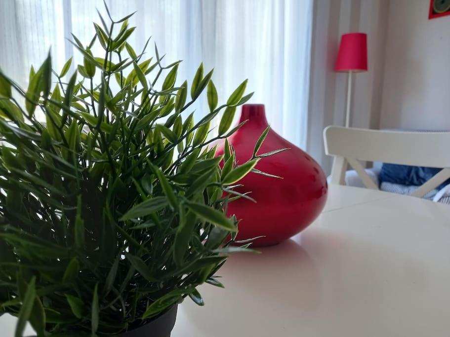 Apartamento Tranquilo Cerca De Zonas Verdes Cieza Buitenkant foto